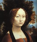  Leonardo  Da Vinci Portrait of Ginerva de'Benci oil painting